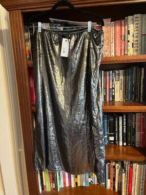 No 6 Silver Skirt